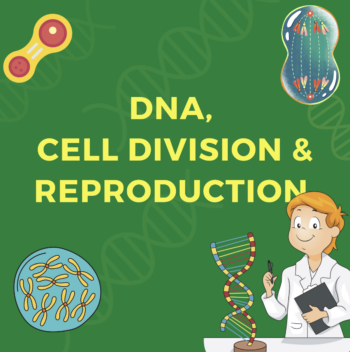 DNA, Cell Div & Reproduction